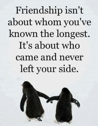 quotes-about-friends-depressing-quotes-14118531408kng4-400x516